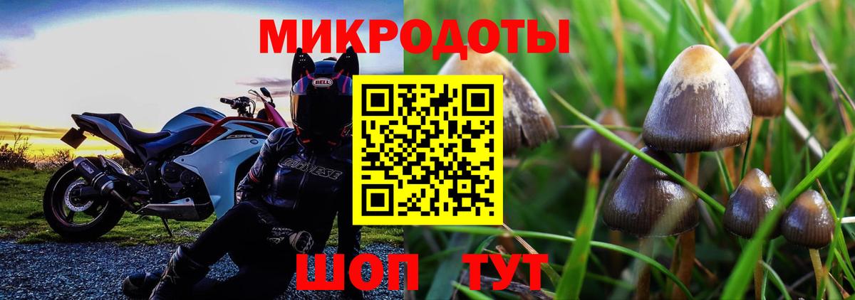 купить  сайты  Вход с VPN  Новоалтайск  Галлюциногенные грибы MAGIC MUSHROOMS 